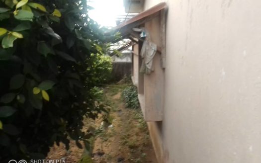 Affordable Homes
