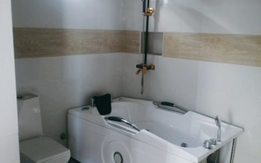 5 Bedroom Fully Detached Duplexes + BQ