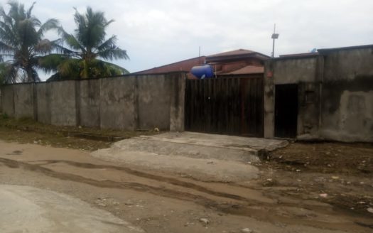 Building on 2 and Half Plots of Land